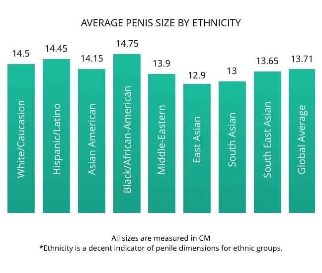 Graph showing the average penis size by ethnicity