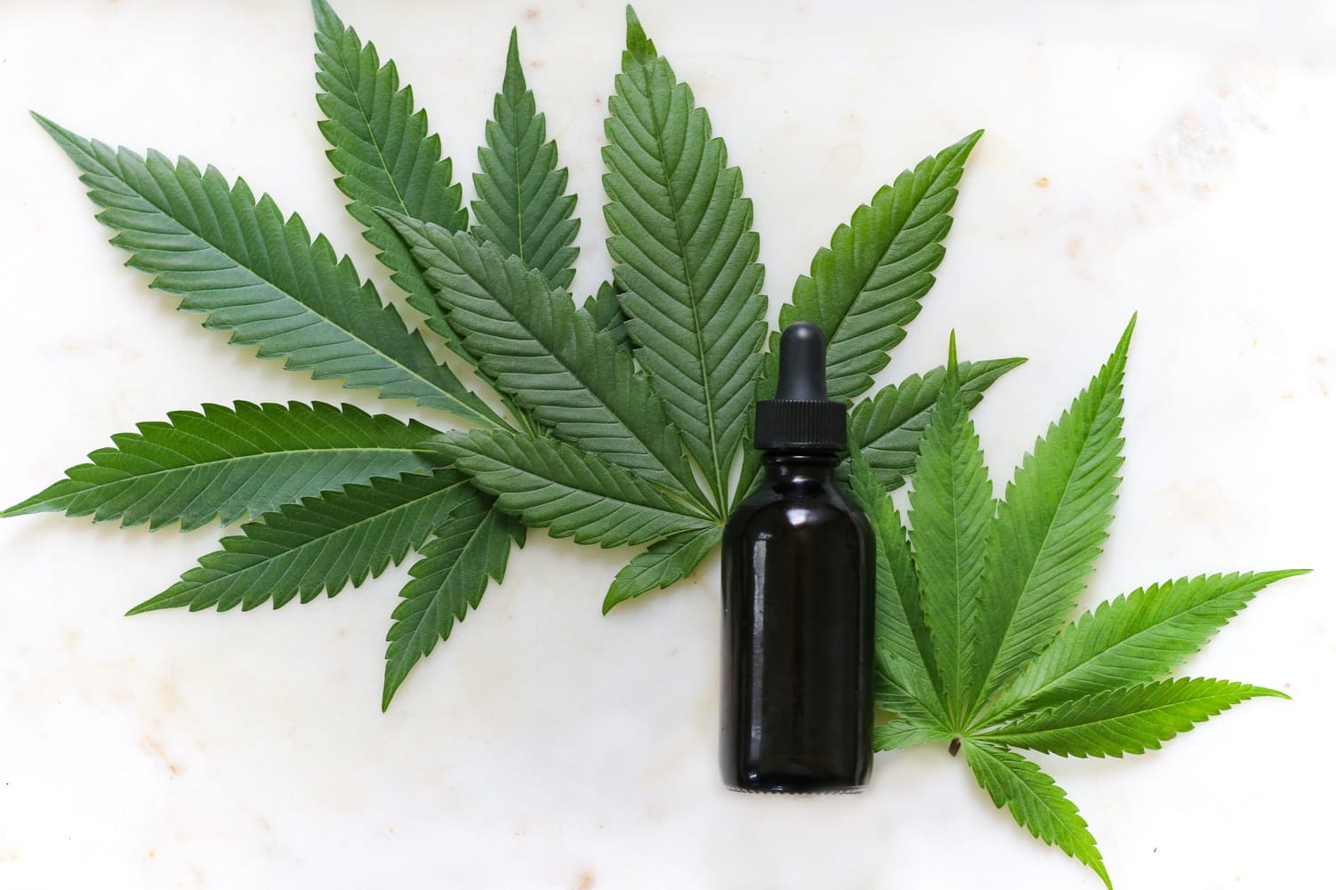 A tincture oil sitting on marijuana leaves.