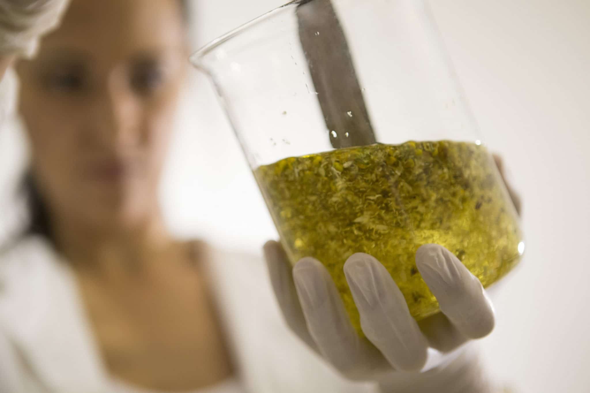 Scientist holding a glass jar of oil.