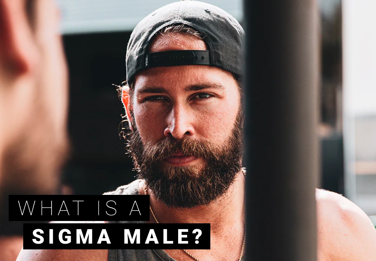 What is a sigma male? 